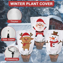 3er Pack Winter Pflanzenschutz Abdeckung Olivenbaum Palmen