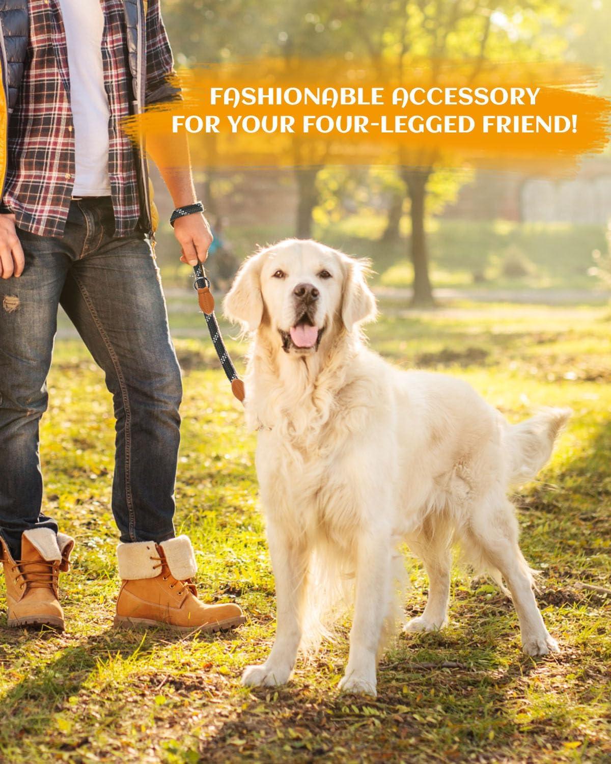 PETCOOZ Hundeleine 3M aus robustem Nylon mit Reflektorstreifen - Trainingsleine für große Hunde