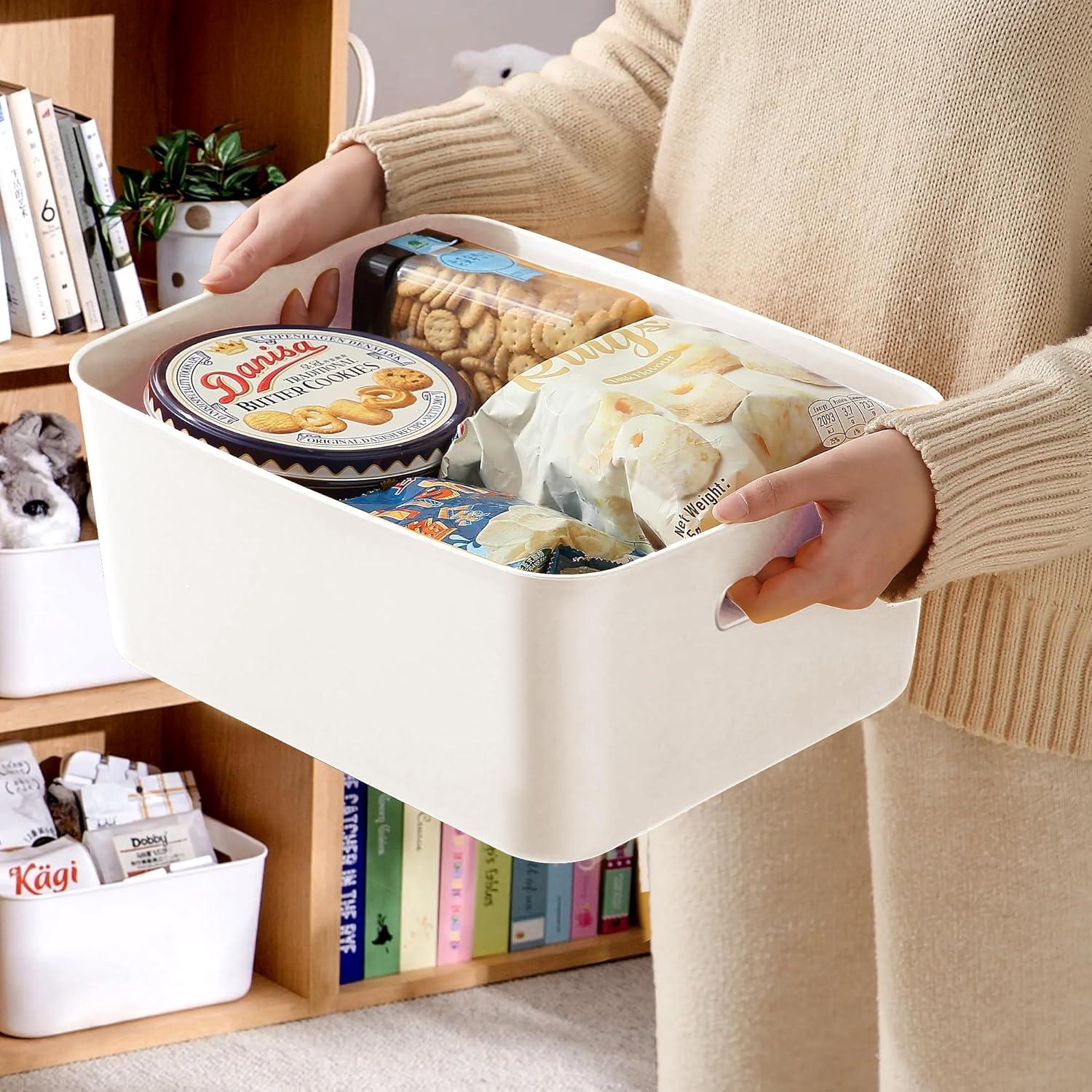 10x LYLIDIA Aufbewahrungsbox Kunststoff 30cm Weiß Organizer Korb