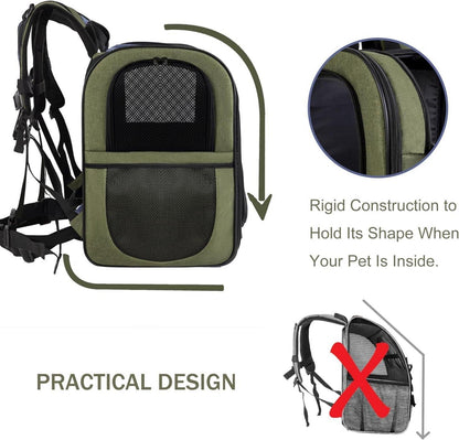 Apollo Walker Haustier Rucksack Tragetasche für 2-12kg Hunde Katzen Grün