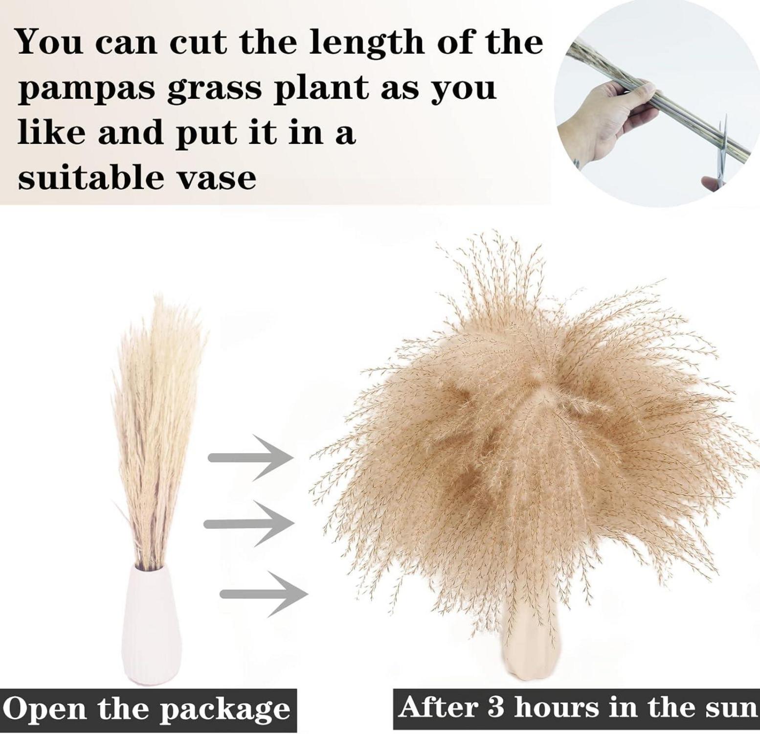 30 PCS Natural Dried Pampas Grass Decor Bunny Tails White Boho Wedding Bouquet