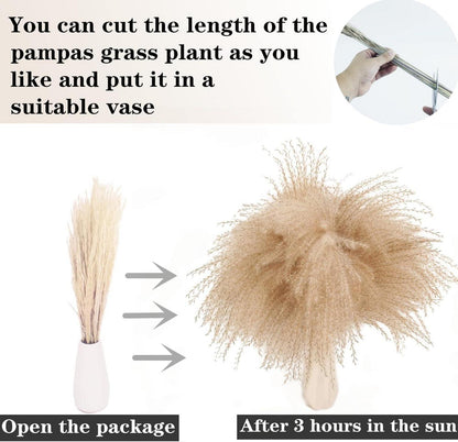 30 PCS Natural Dried Pampas Grass Decor Bunny Tails White Boho Wedding Bouquet