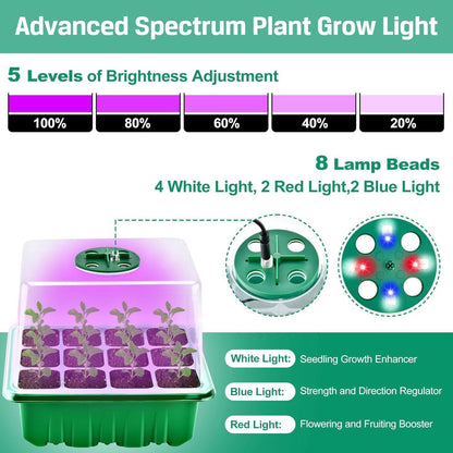 Growbox Komplettset mit Pflanzenlampe 5x Zimmergewächshaus
