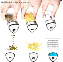6 Gewürzgläser Dreiecksform 6er Set 100ml Gewürzstreuer mit