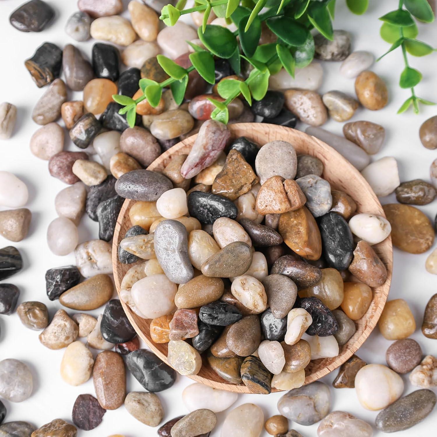 450g Flusskiesel Deko Steine für Vasen Pflanzen Garten Sukkulenten