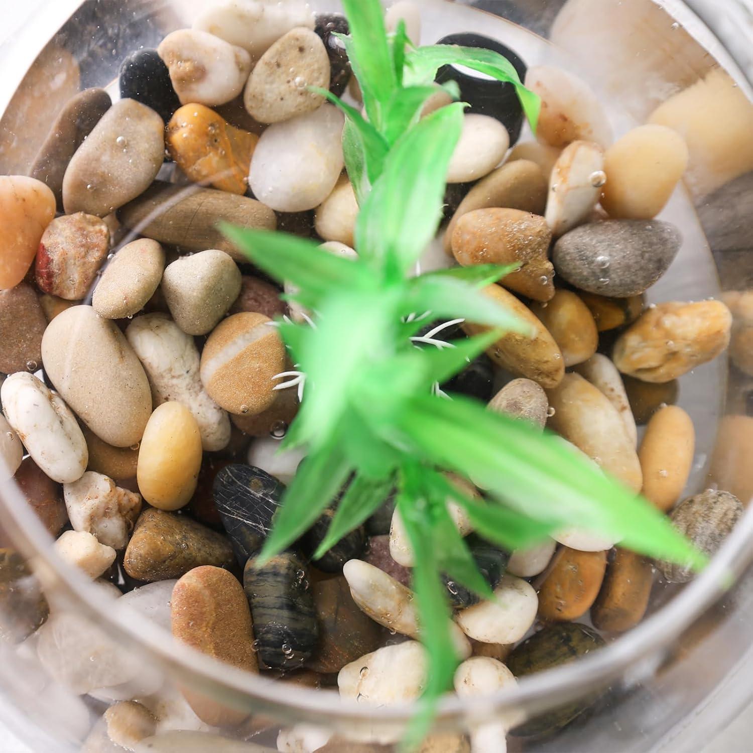 Flusskiesel Edelsteine 900g DIY Deko Mini Garten Steine Natürliche Landschaftsgestaltung