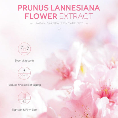 Sakura 5tlg Hautpflege korean skincare Geschenke Frauen