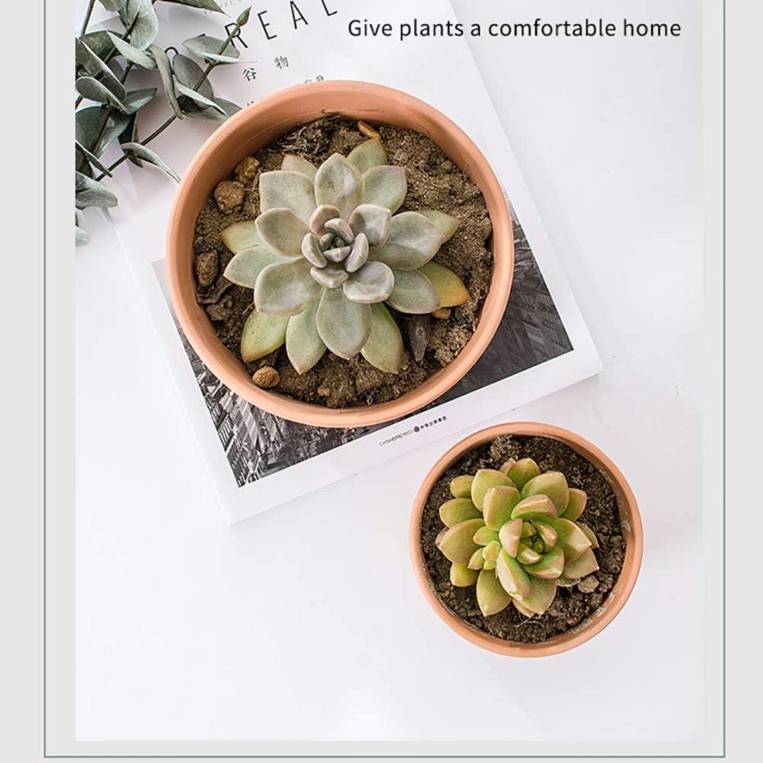 3er Set Terrakotta Tontöpfe mit Abflussloch für Sukkulenten & Kräuter