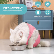 Katzenbody Erholungsanzug Kastration Spay Modal Recoverysuit