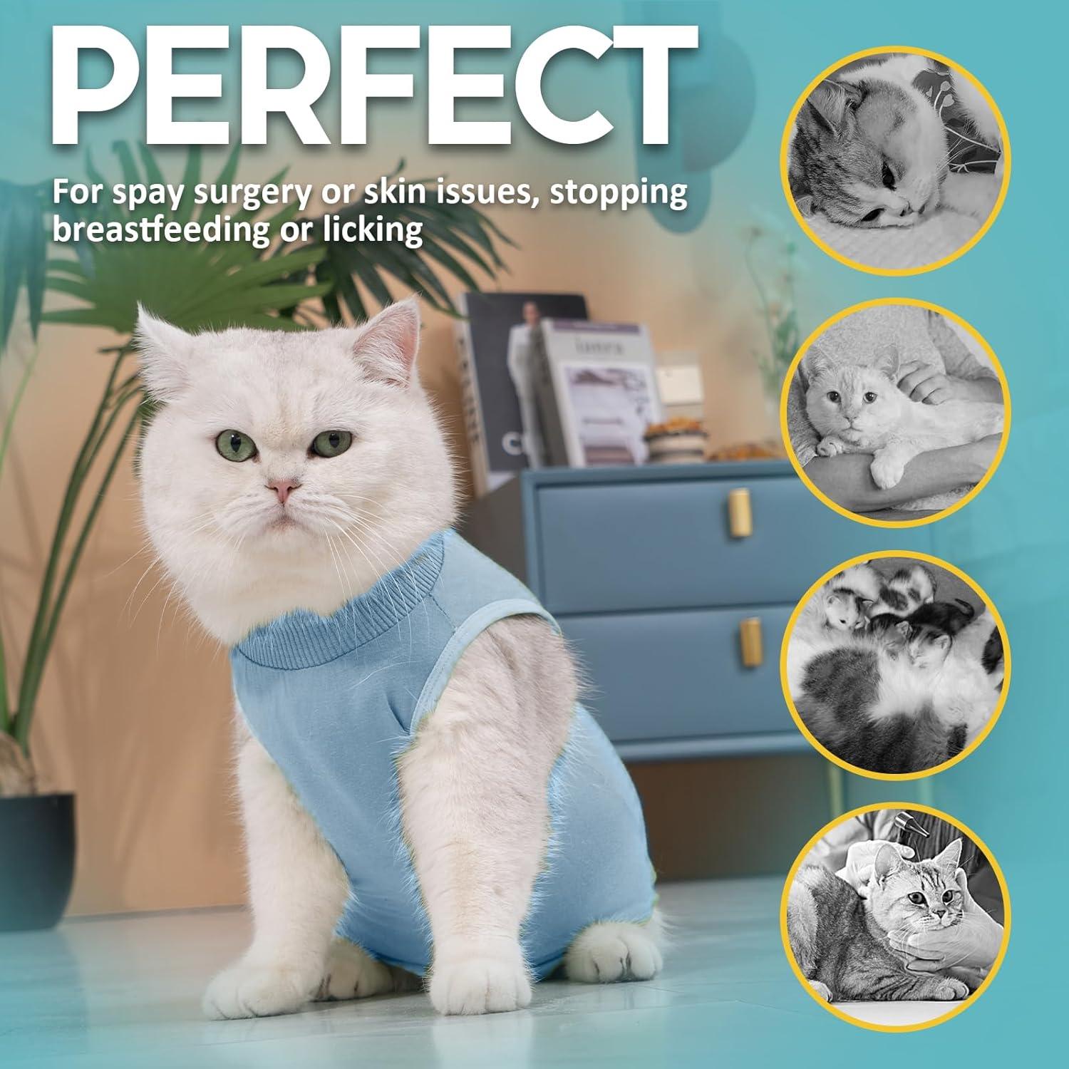 Katzenbody Erholungsanzug Kastration Spay Leckschutz Suit Modal L Blau