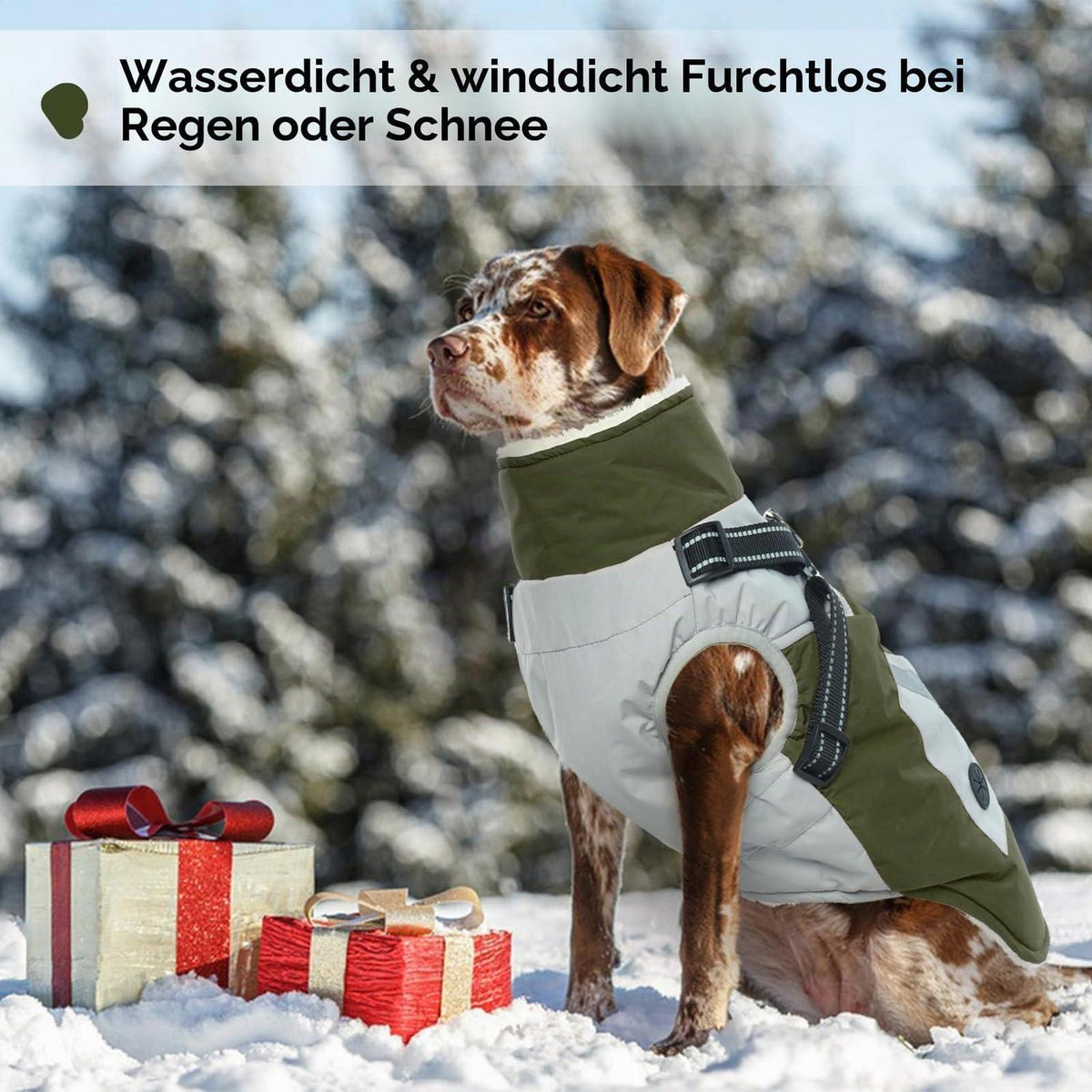 Winterhundemantel Mittel – Wasserdicht & Warm mit Geschirr (Grün, M)