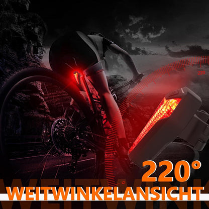 MUPAS Fahrrad Rücklicht LED StVZO IPX5 Wasserdicht Type-C Schwachwarnung