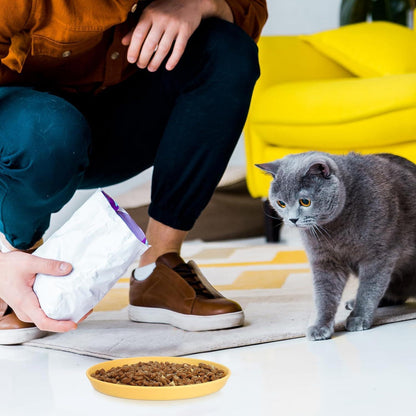 10er Set Katzenfutternäpfe 5,9 Zoll Rund Bunt für