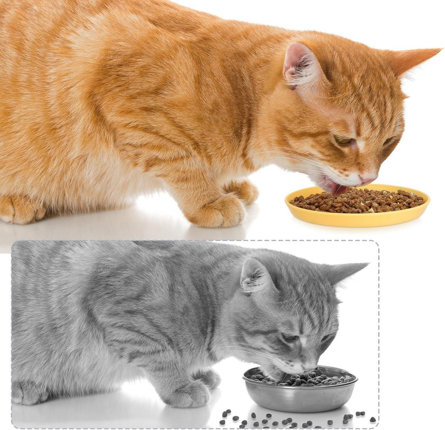 Apricitie 10er Fressnapf Katzennapf Katzenschüssel Set 5,9 Zoll Nass Trockenfutter
