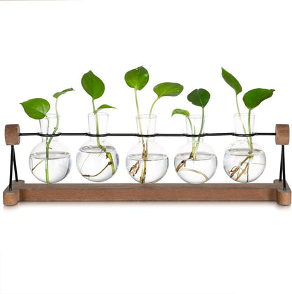 Hydrokultur Glasvase mit Holzständer, 5er Blumenvasen Set