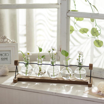 Moderne Glasseam Hydrokultur Vase mit Holzständer, 5 Blumen