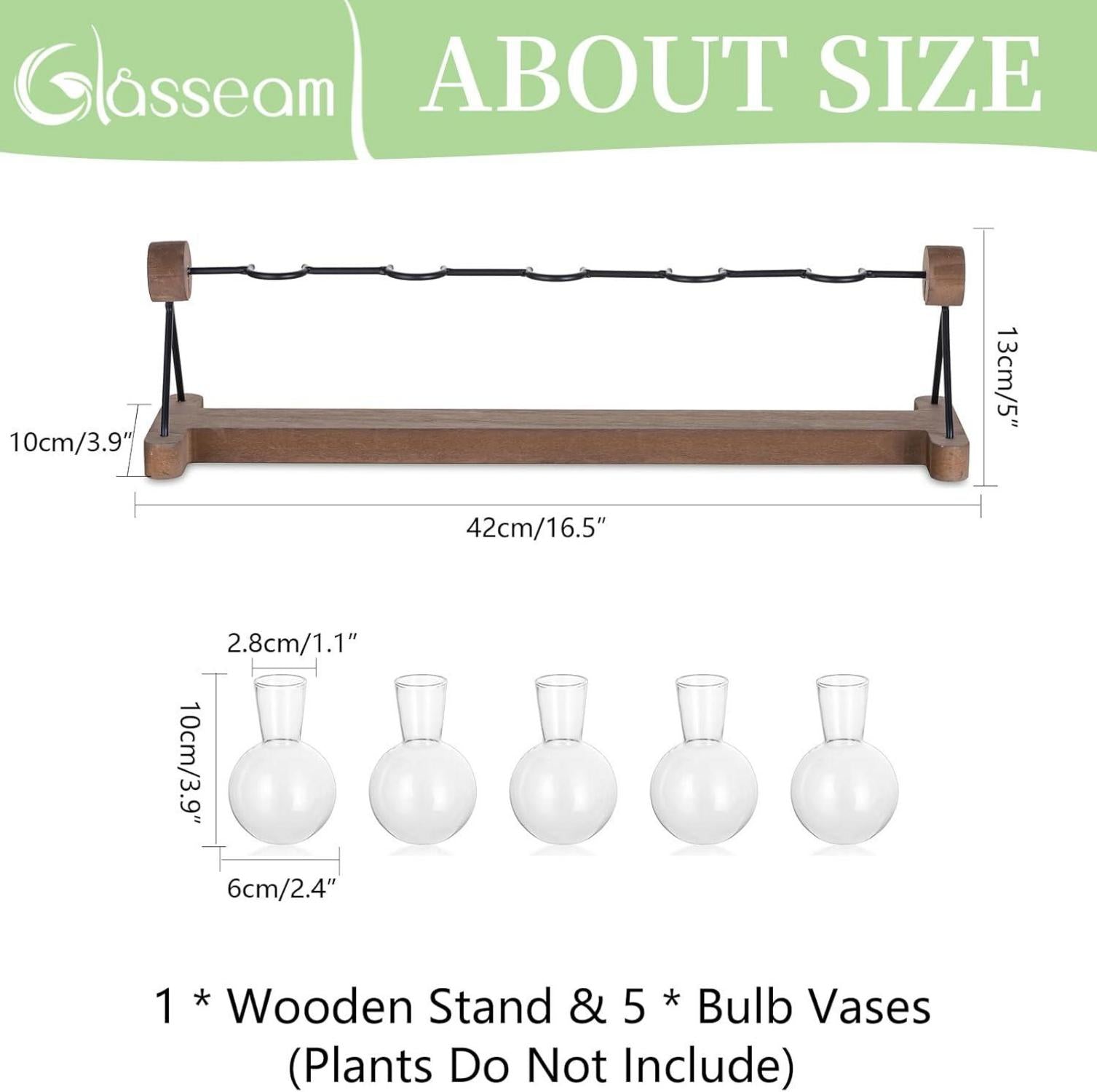 Moderne Glasseam Hydrokultur Glasvase mit Holzständer, 5er Blumen Vasen Deko