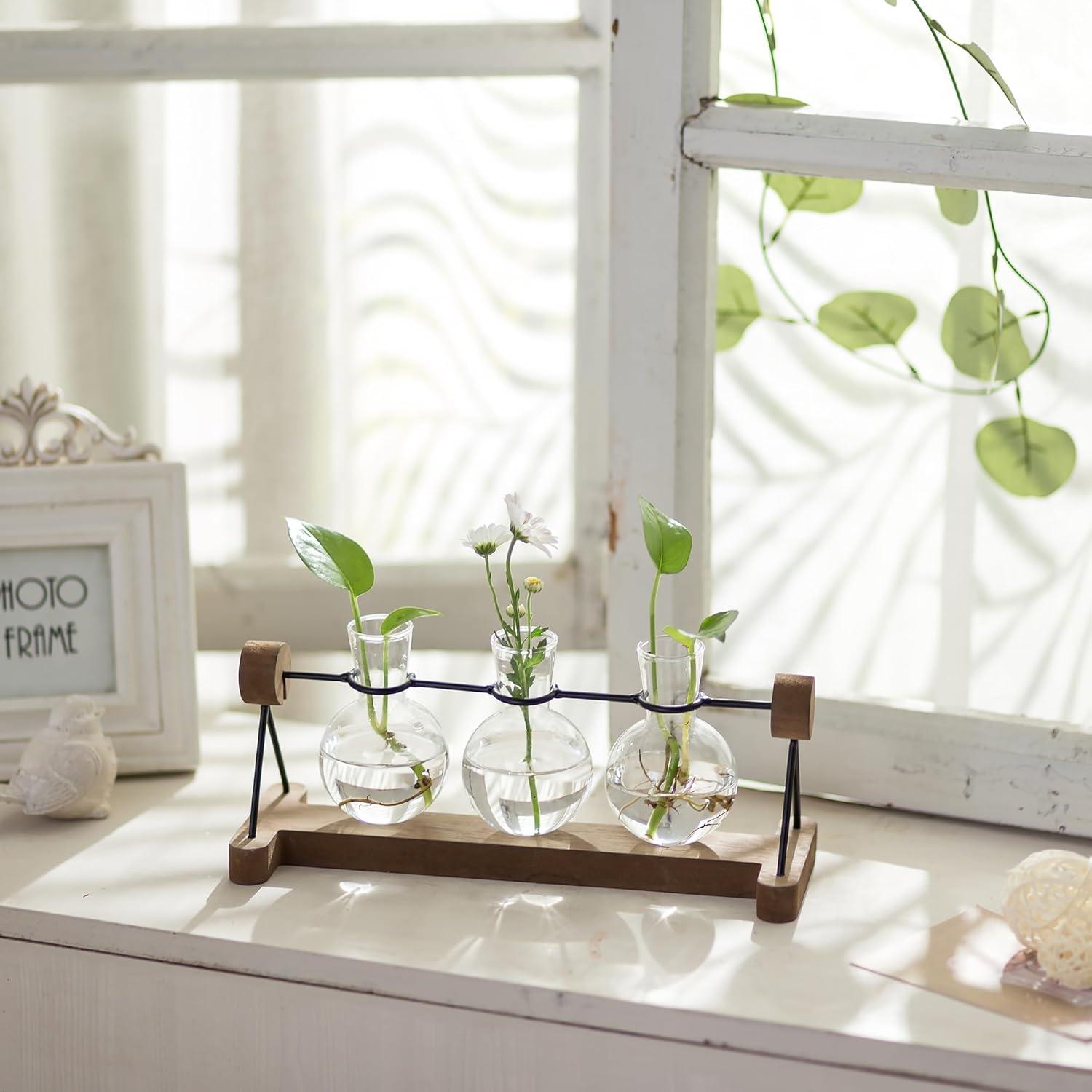 Glasseam Hydrokultur Vasen Set mit Holzständer, 3er Blumen