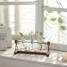 Glasseam Hydrokultur Vasen Set mit Holzständer, 3er Blumen
