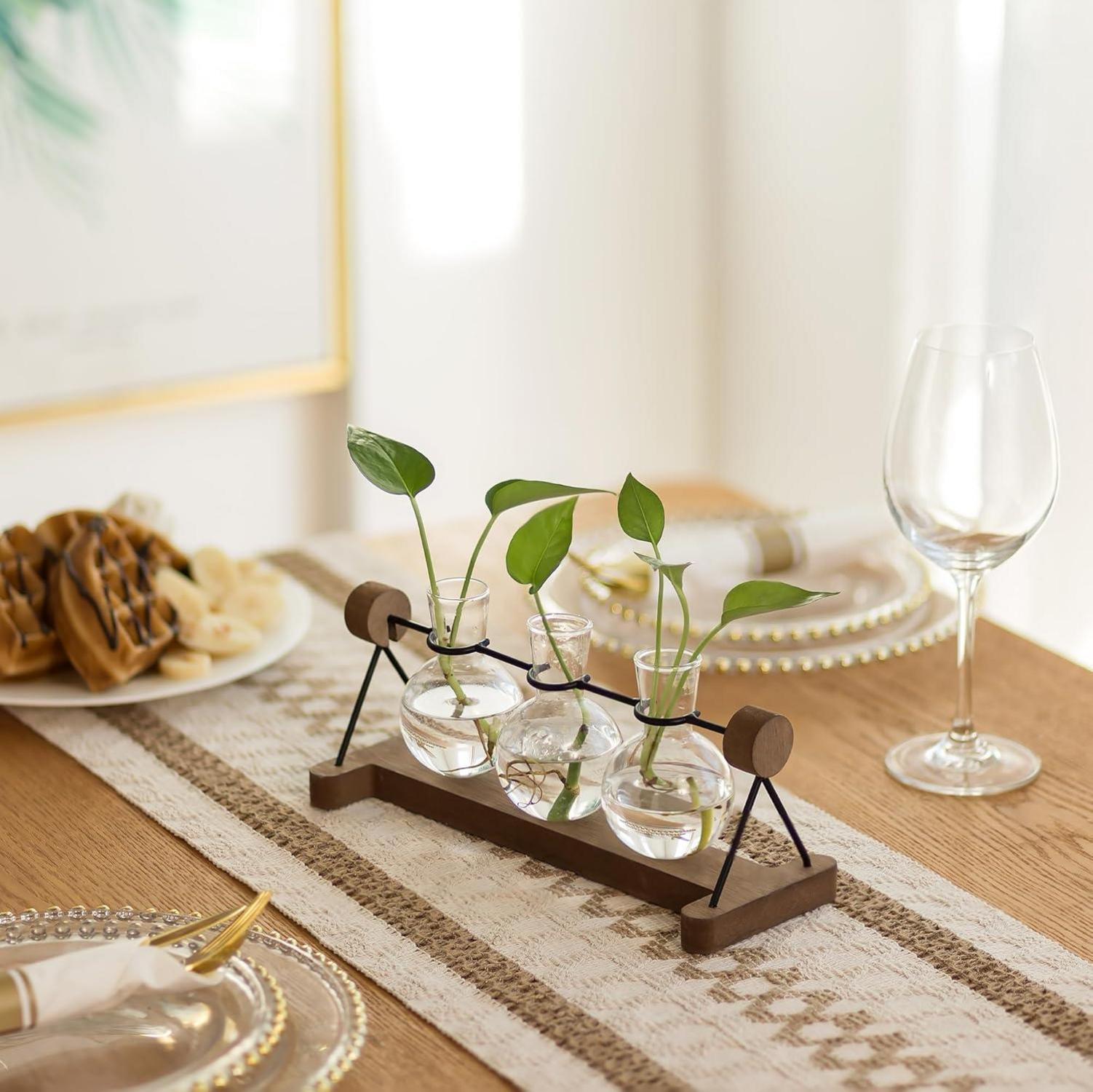 Hydrokultur Glasvase mit Holzständer 3er Set Blumenvasen