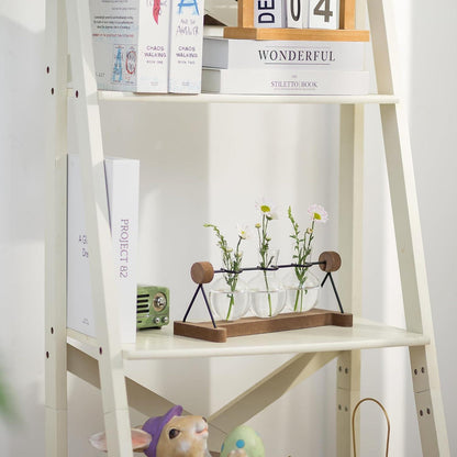 Glasseam Hydrokultur Vasen Set mit Holzständer, 3er Blumen Deko