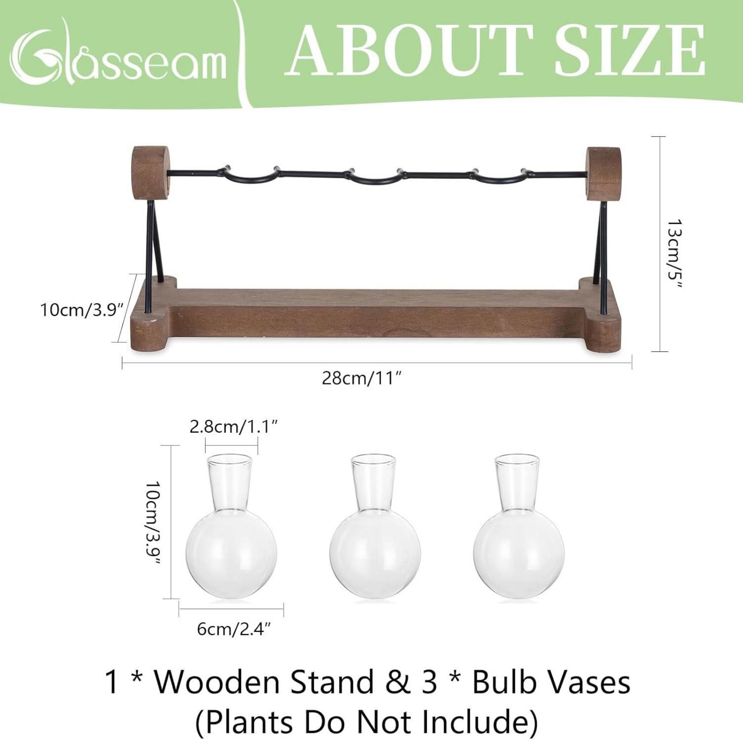 Hydrokultur Glasvase Holzständer 3er Set Blumenvase Terrarium