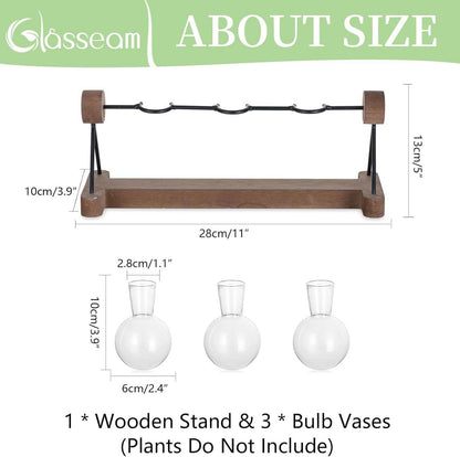 Hydrokultur Glasvase Holzständer 3er Set Blumenvase Terrarium