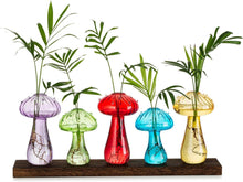 Pilzförmige Glasvase 5er Set bunt, moderne Blumenvase