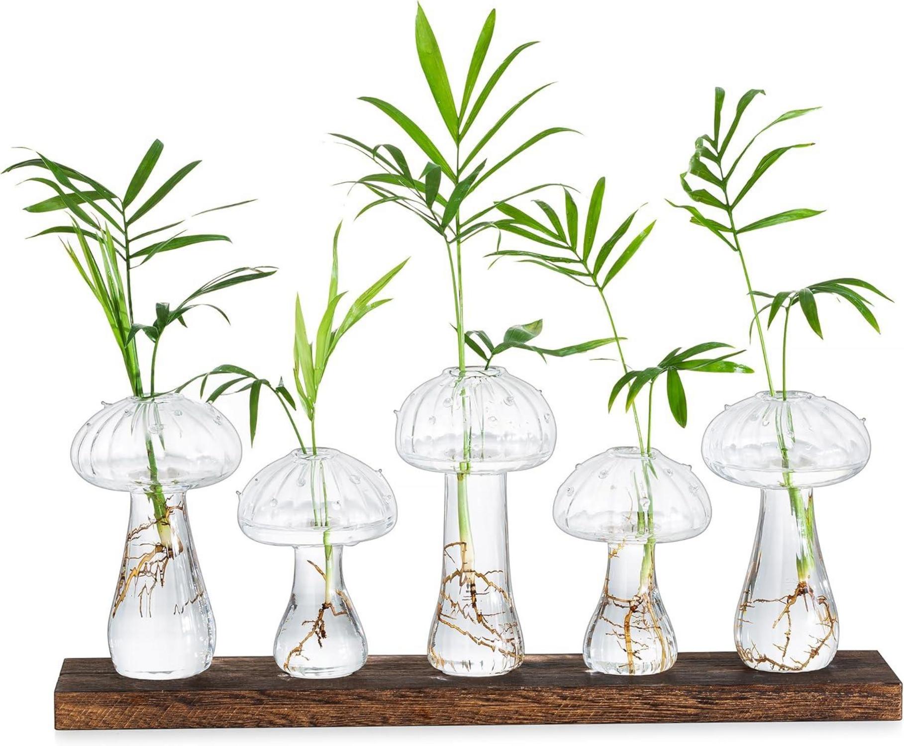 Mini Glas Pilz Vasen Set 5-tlg. für Tischdeko Transparent
