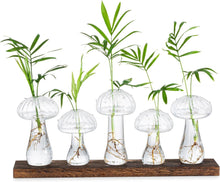 Mini Glas Pilz Vasen Set 5-tlg. für Tischdeko Transparent