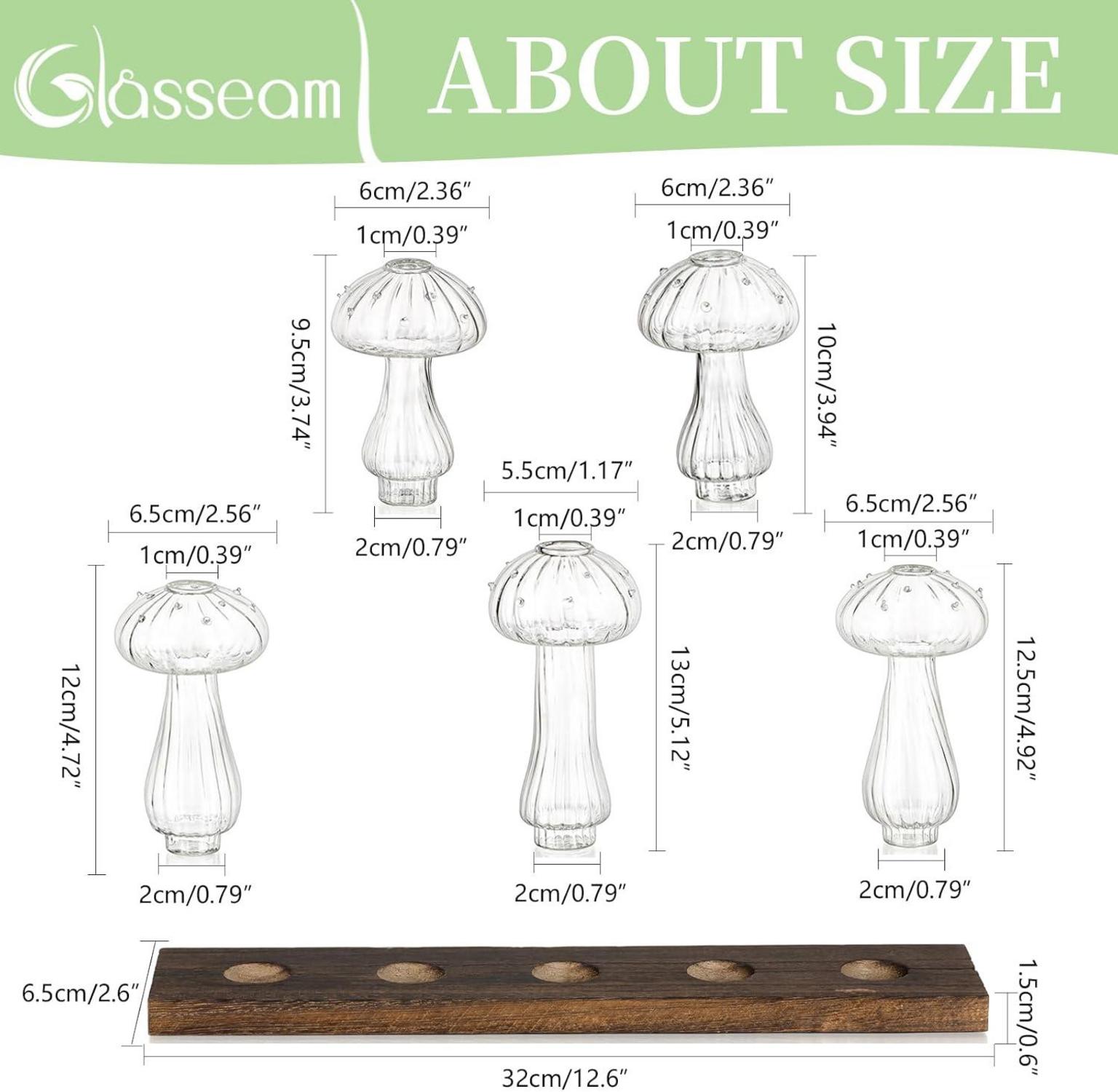 Klar Glas Pilzvasen Set Mini Vasen Tischdeko 5er Holzrand