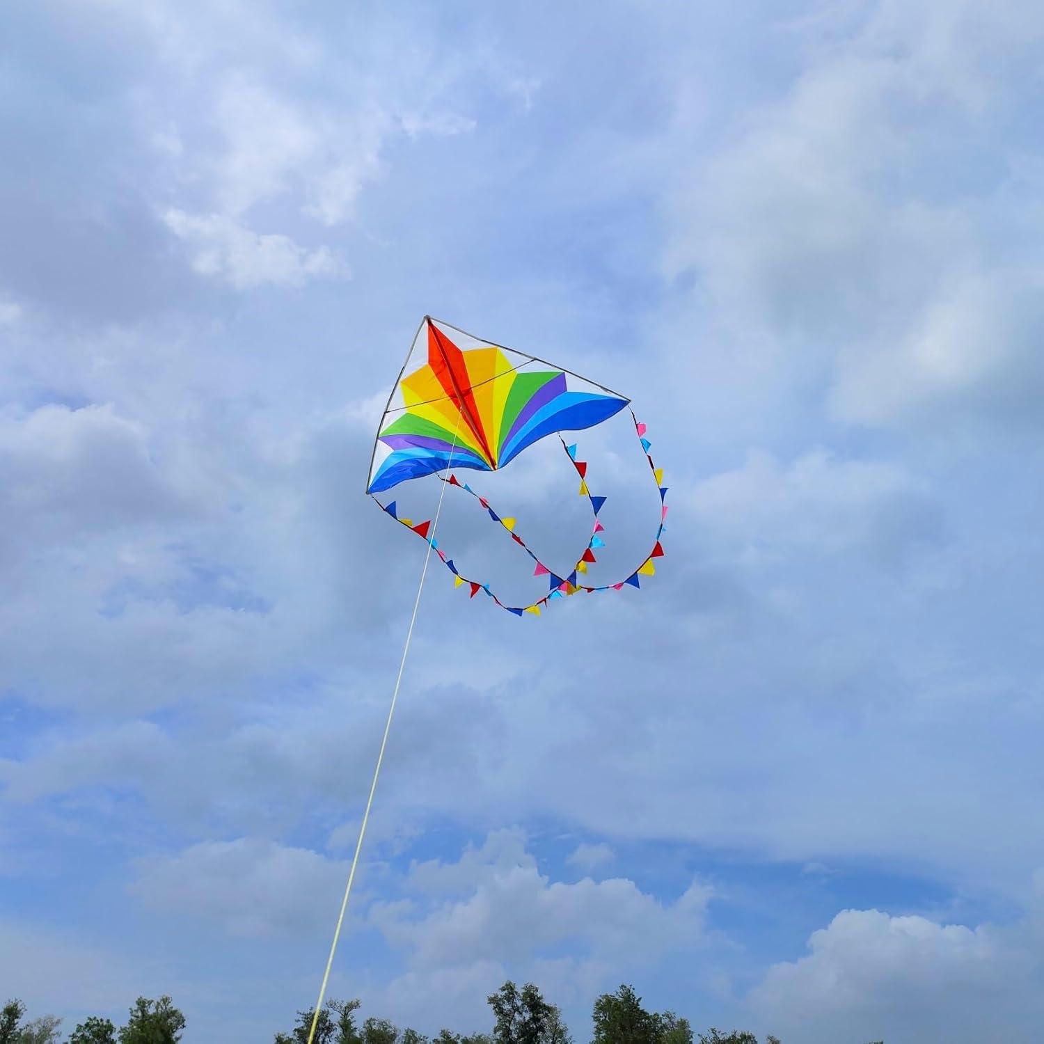 Flying Hoofer Regenbogen Delta Drachen für Kinder und Erwachsene mit 300ft Leine