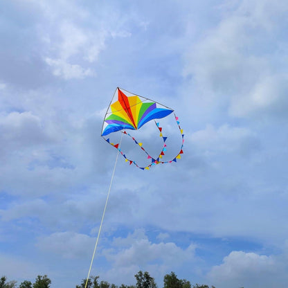 Flying Hoofer Regenbogen Delta Drachen für Kinder und Erwachsene mit 300ft Leine