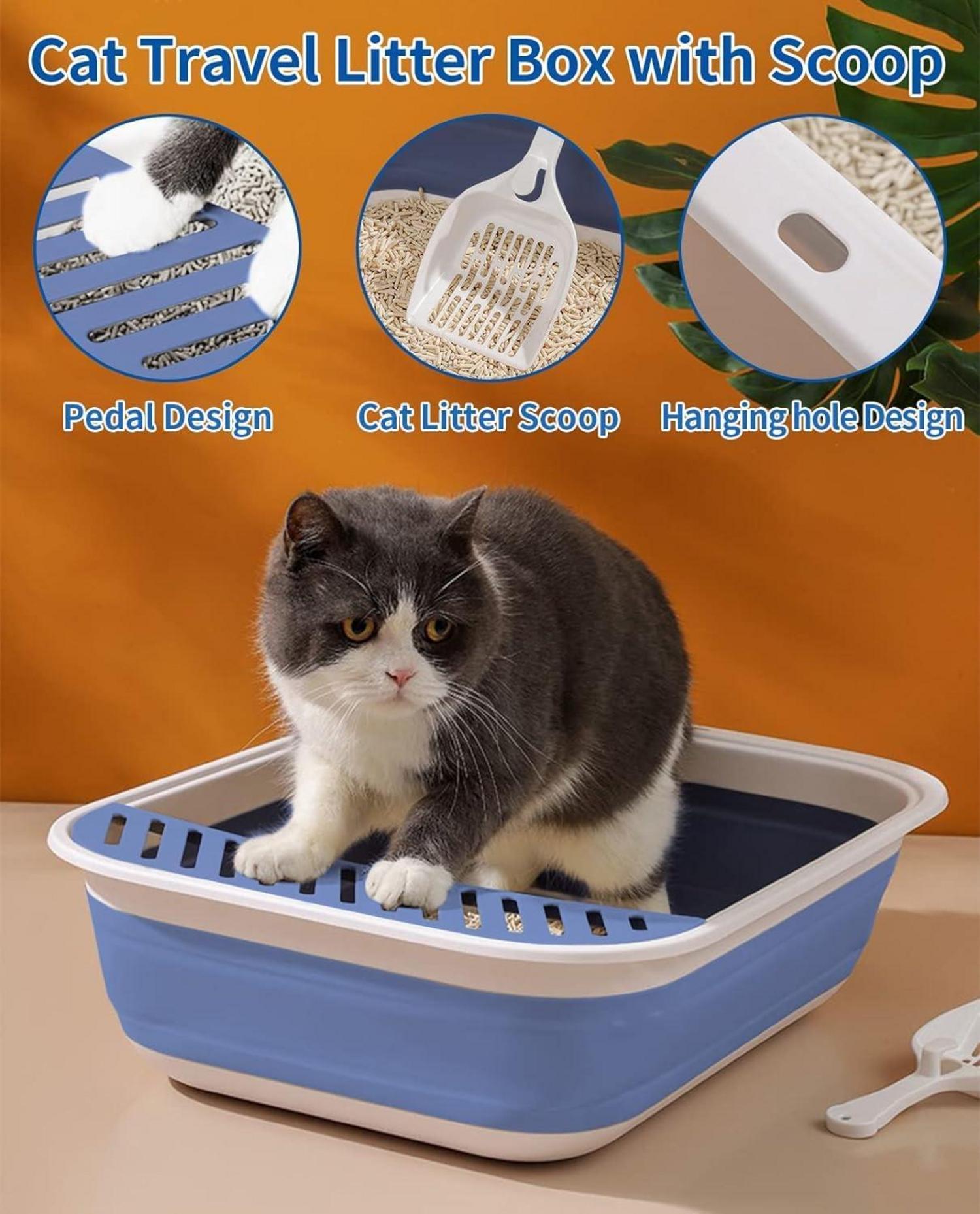 Katzentoilette Flach Groß 53*40*13.5CM Blau