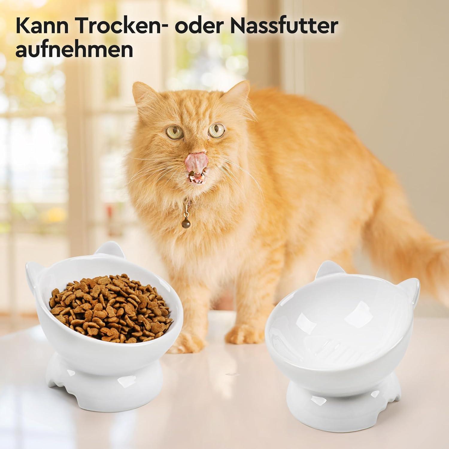 2x Keramik Futternapf Katze Erhöhter Zervixschutz Fishbone-Design