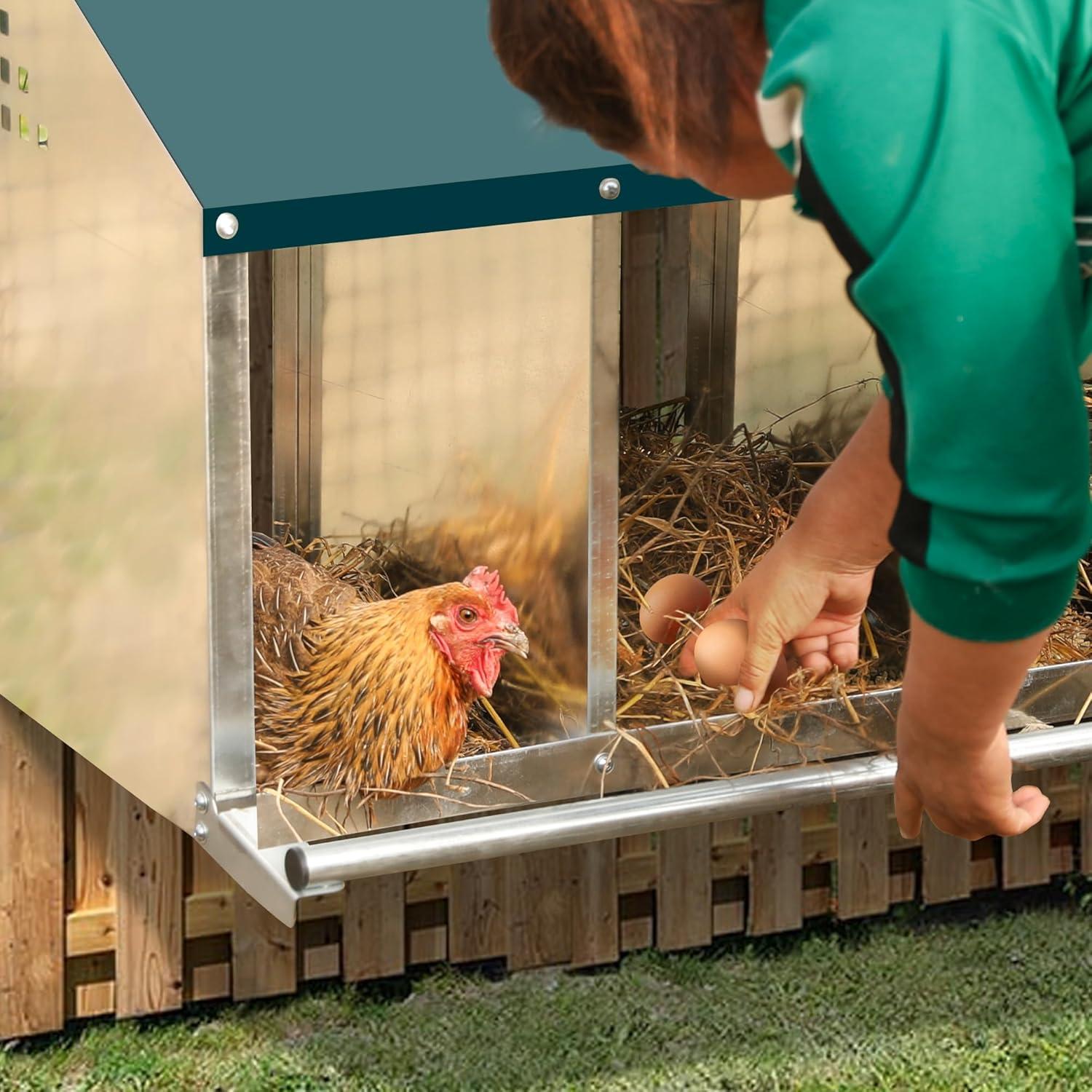 Metall Hühner Legebox mit 4 Löchern für