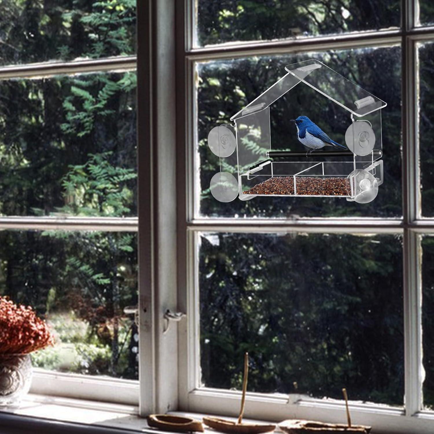 Fenster Vogelfutterstation acryl mit starken Saugnäpfen