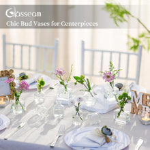 Kleine Glasvase Set 20er Blumenvasen Modern Transparent