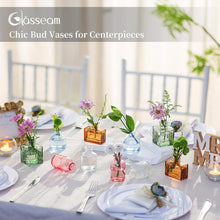 Glasseam Mini Glasvasen Set 20er, Farbige Deko Vasen für
