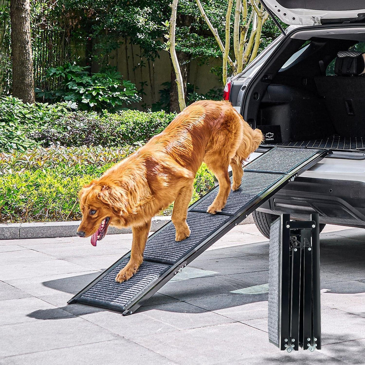 Hunderampe klappbar 170cm – Sicherer Ein- und Ausstieg für Hunde