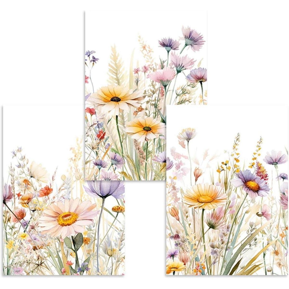 3er Set Gänseblümchen Poster 50x70cm Leinwand Kunstdruck