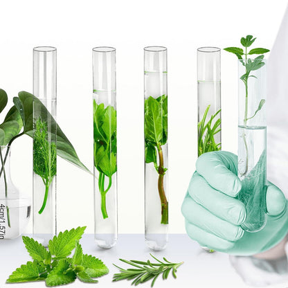 30x Reagenzgläser mit Korken für Blumen - Gastgeschenk