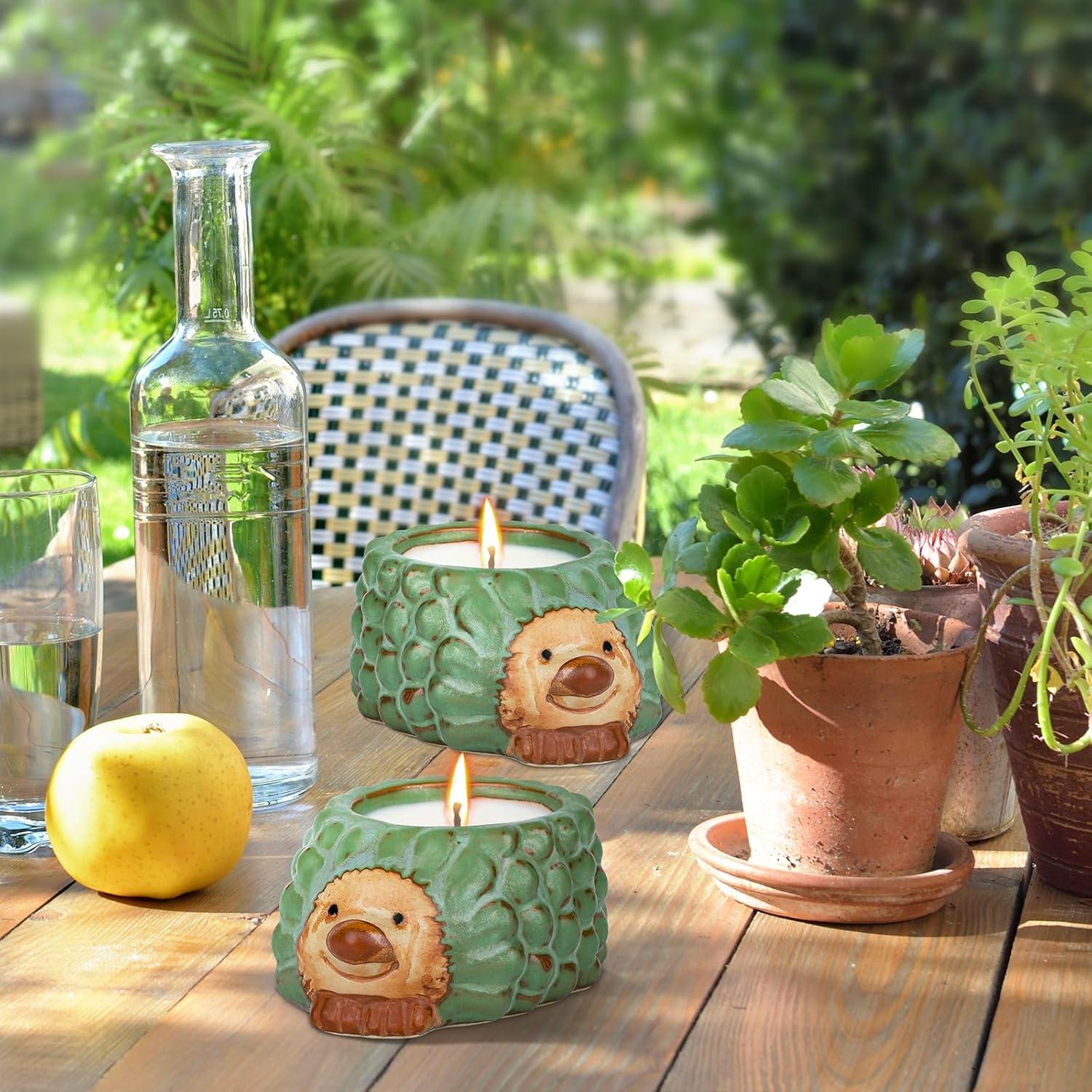Citronella Kerze Outdoor - 2 Stücke Camping Sojawachs Kerzen - Geschenk für Frauen - Perfekt für Camping, Grillen, Picknicks