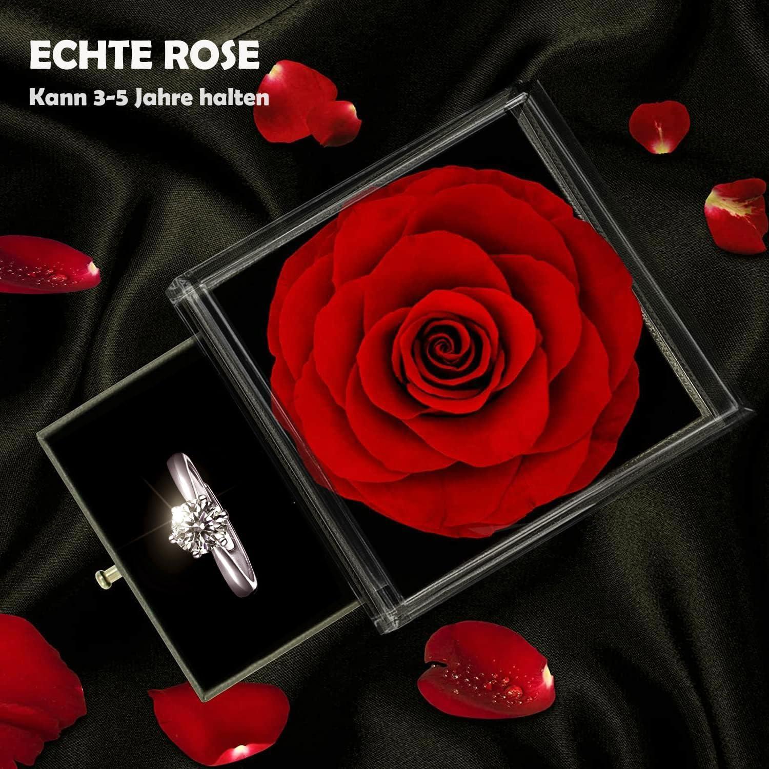 Ewige Rote Rose Infinity Rosen Box Konservierte Blumen