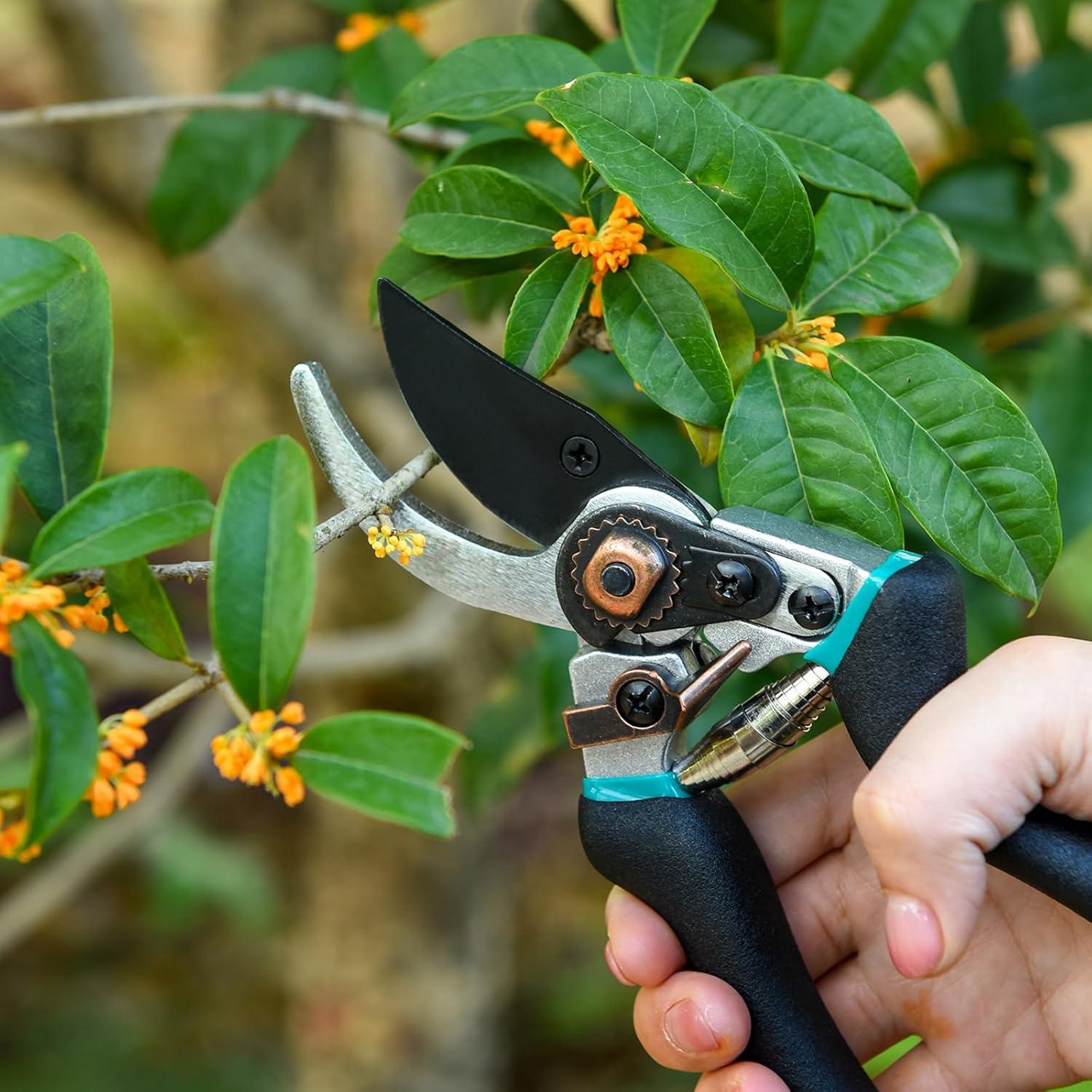 Professionelle Gartenschere mit Ilaflon beschichteten 50mm SK5 Klingen