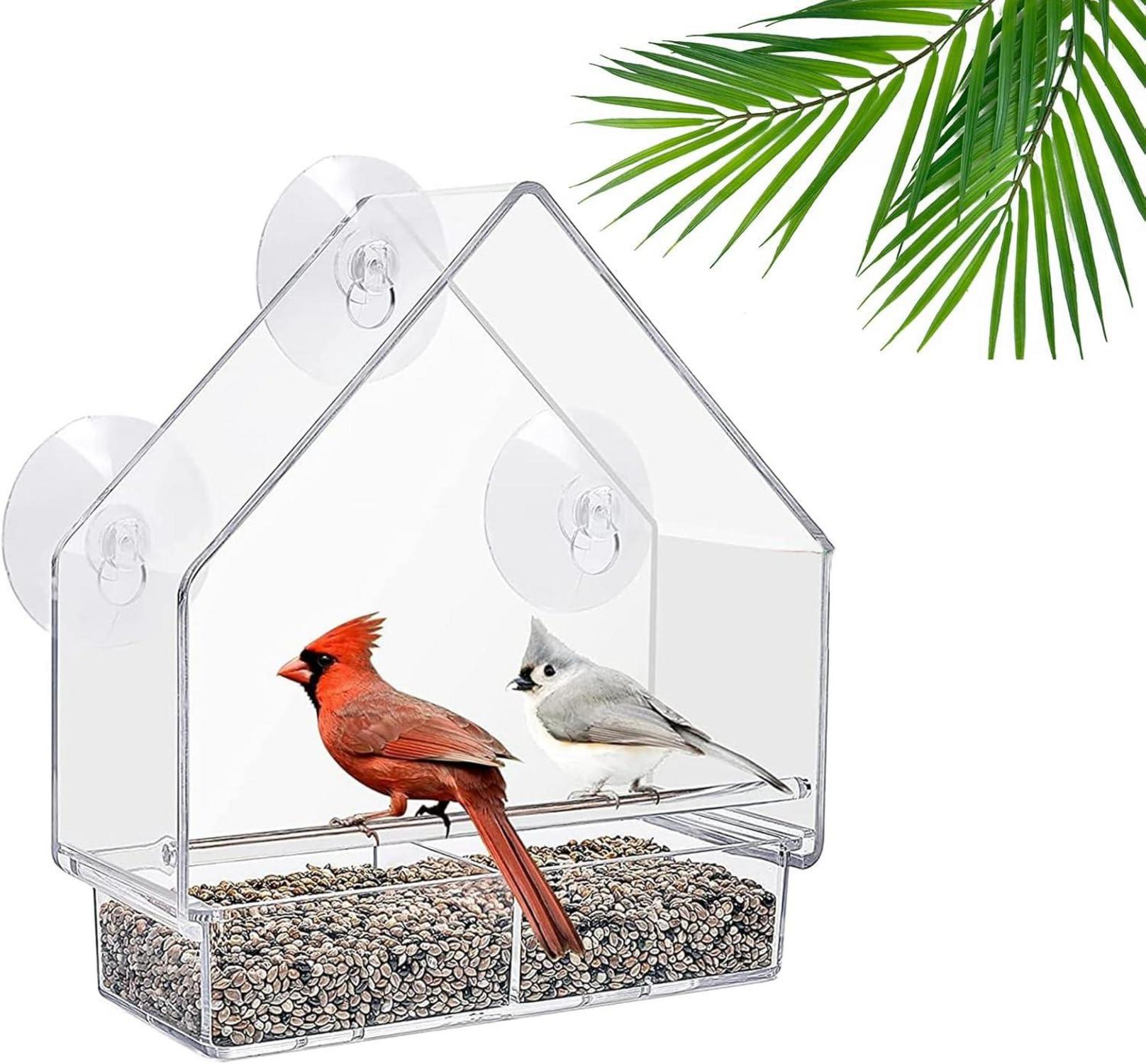 Transparentes Fenster Vogelhaus mit Saugnäpfen und Abflusslöchern