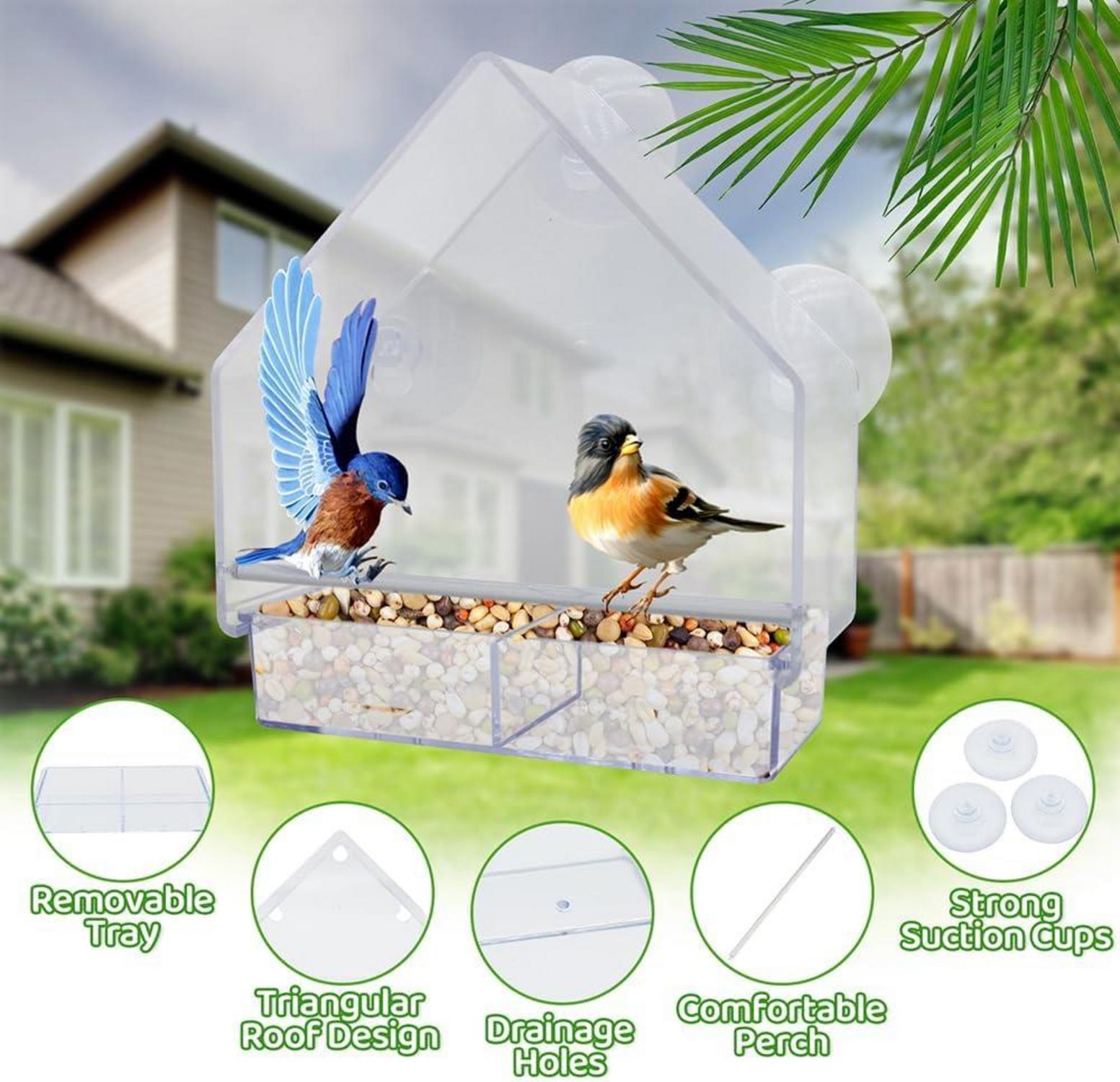 Transparentes Fenster Vogelhaus mit Saugnäpfen und Abflusslöchern