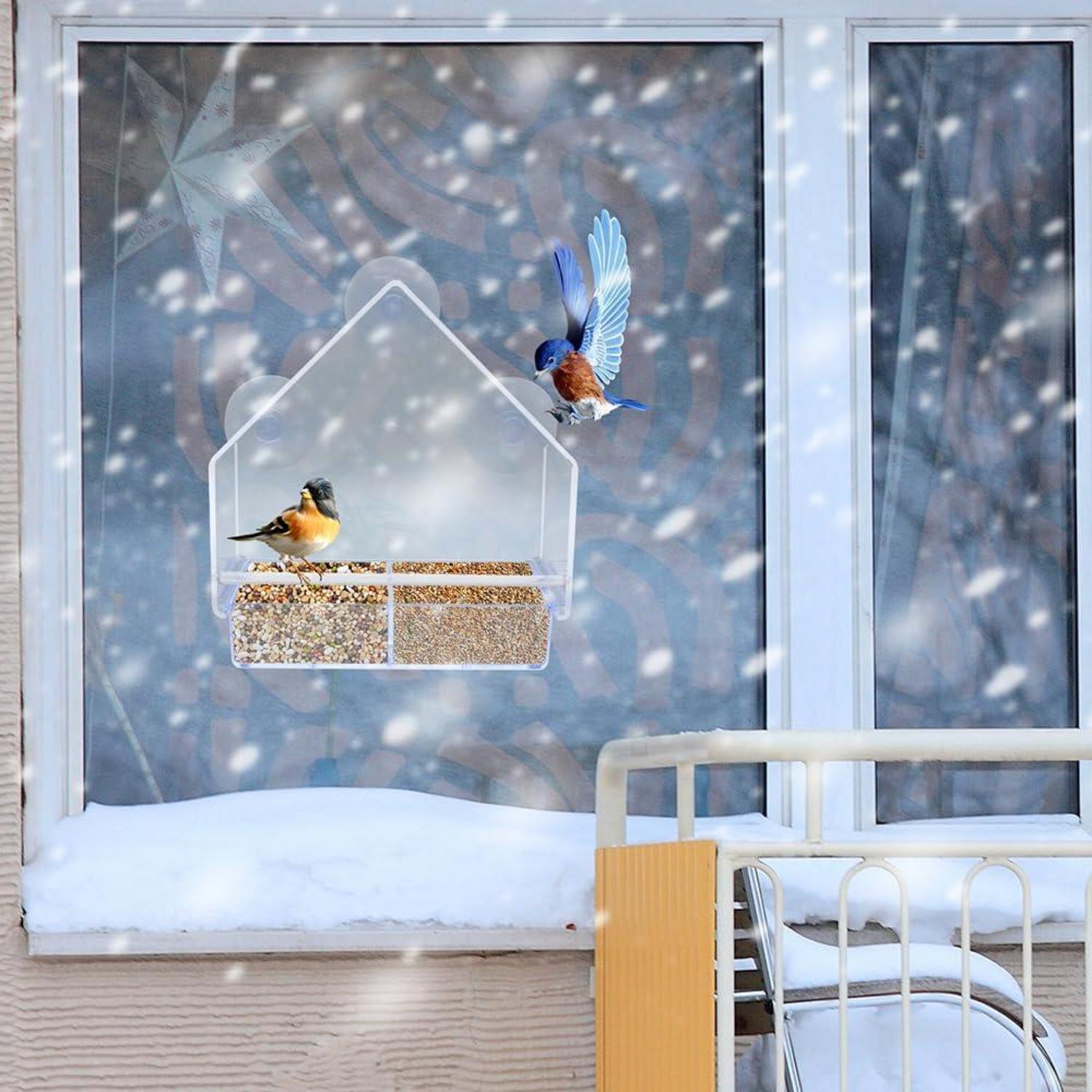 Vogelfutterstation Fenster Futterhaus Acryl Transparent Saugnäpfen
