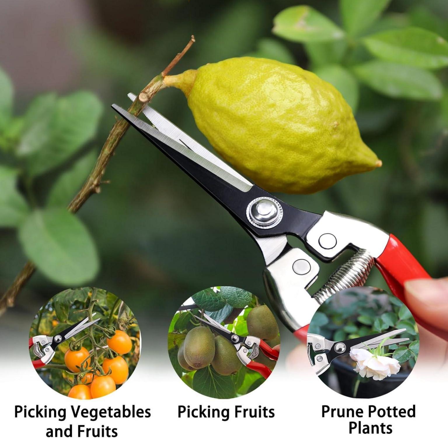 Gartenschere Set mit Handschuhen, Bypass, professionell, scharfe