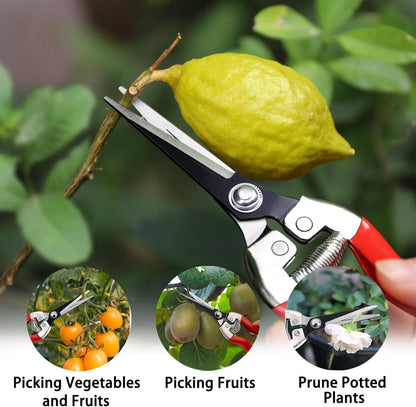 Gartenschere Set mit Handschuhen, Bypass, professionell, scharfe